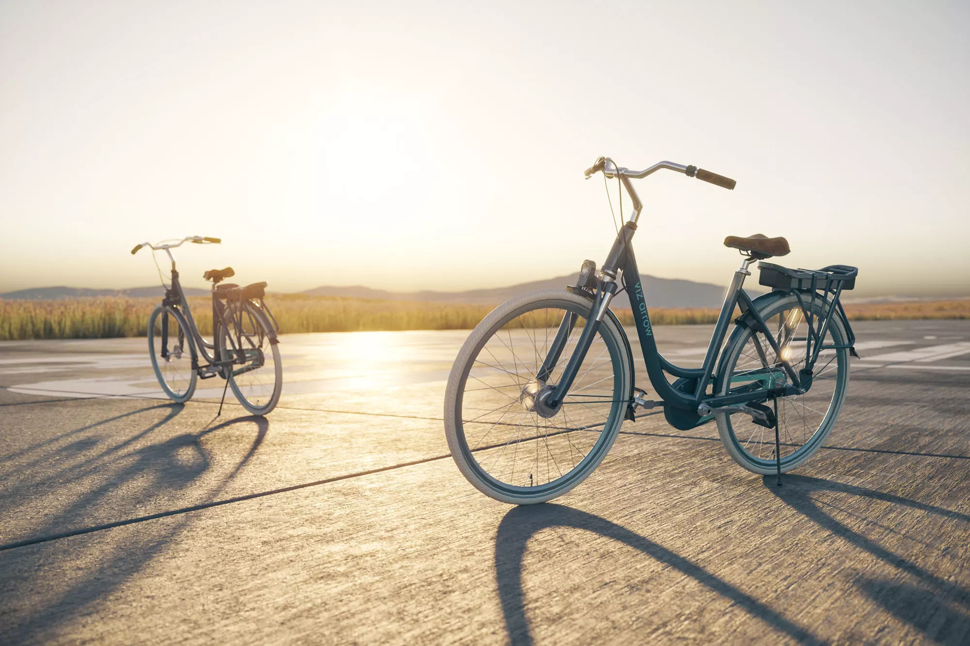 Woman bicycle 3D model_0