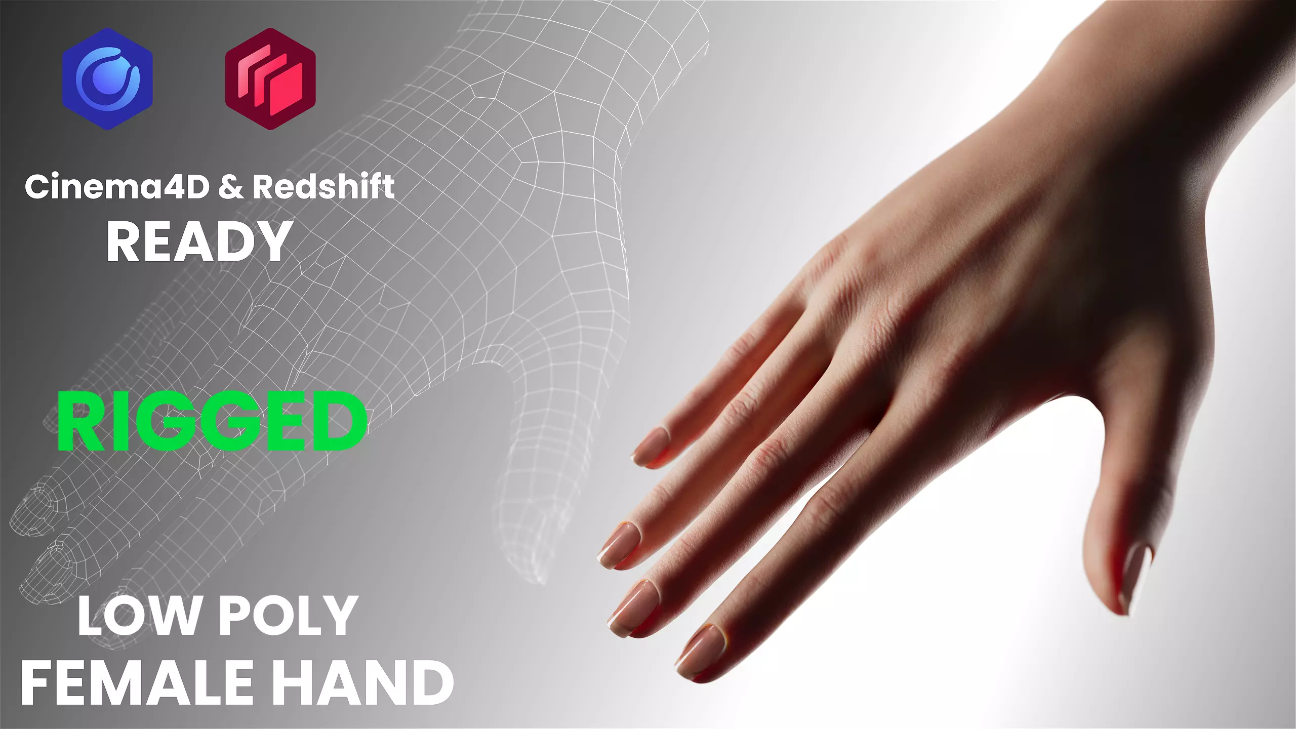 Female Hand Rigged Cinema4D - Redshift - High-quality model Low-poly 3D model