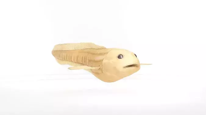 Mariana Snailfish Stylized Deep Sea Fish