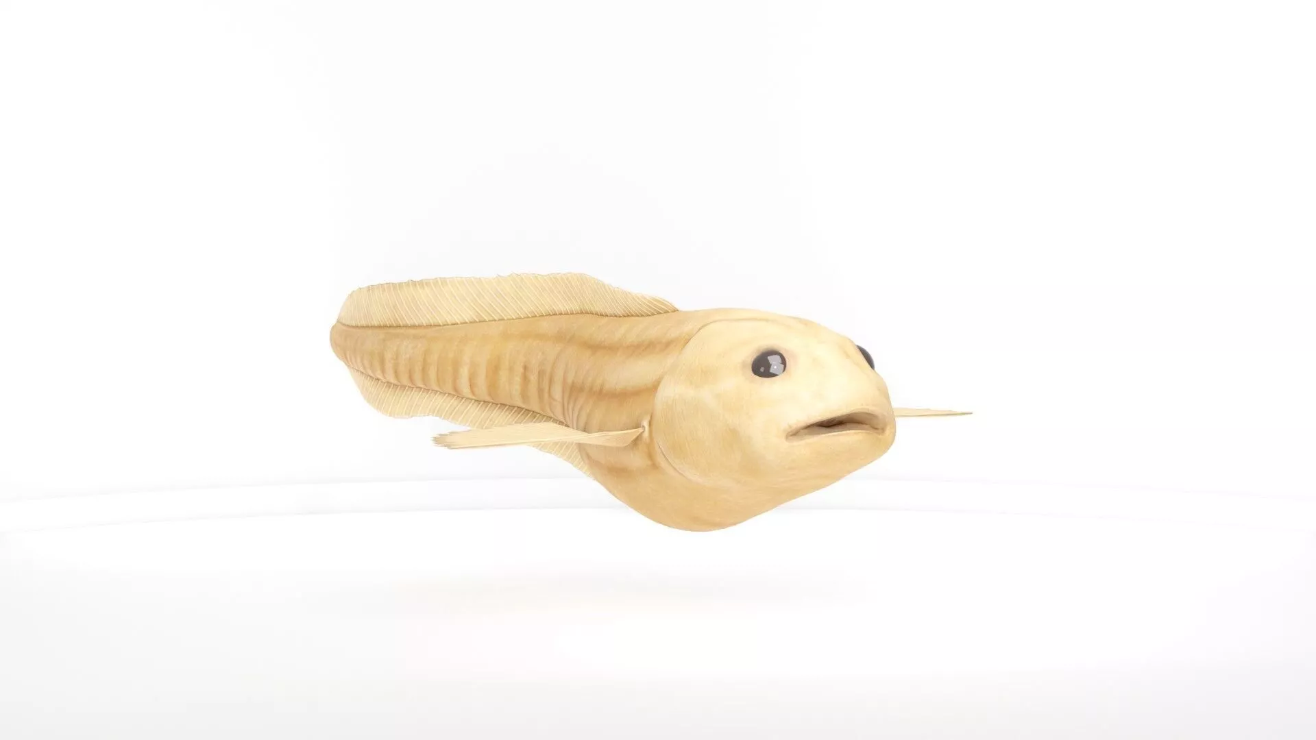 Mariana Snailfish Stylized Deep Sea Fish Low-poly 3D model