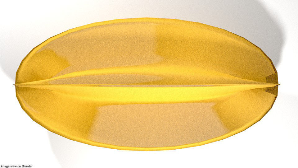 Tropical Fruit - Starfruit 3D model_2