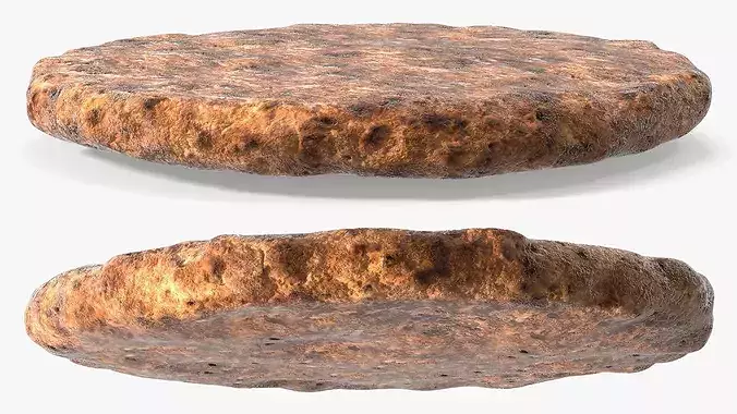 Grilled Beef Burger Patty 3D model 4