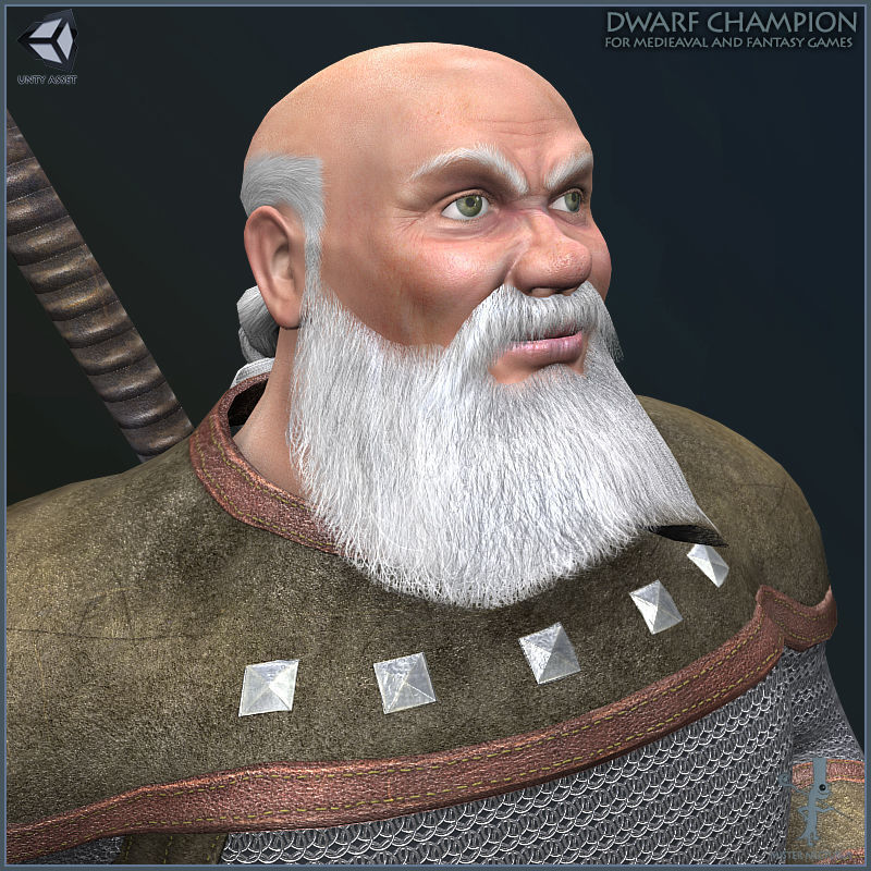 Dwarves Warriors Low-poly 3D model_22