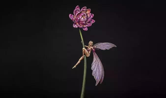 fairy girl 3 2026