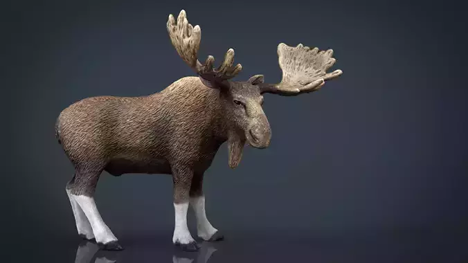 Realistic Elk moose