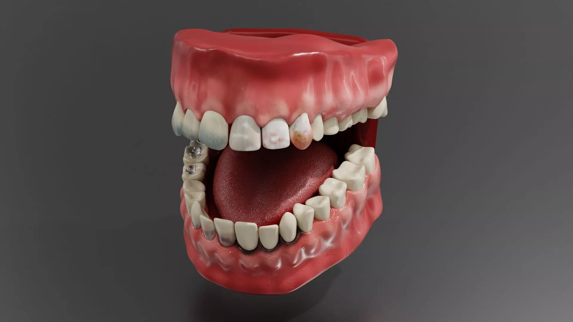 Medical Grade Human Oral Cavity Teeth Anatomy 3D Model blender Low-poly 3D model