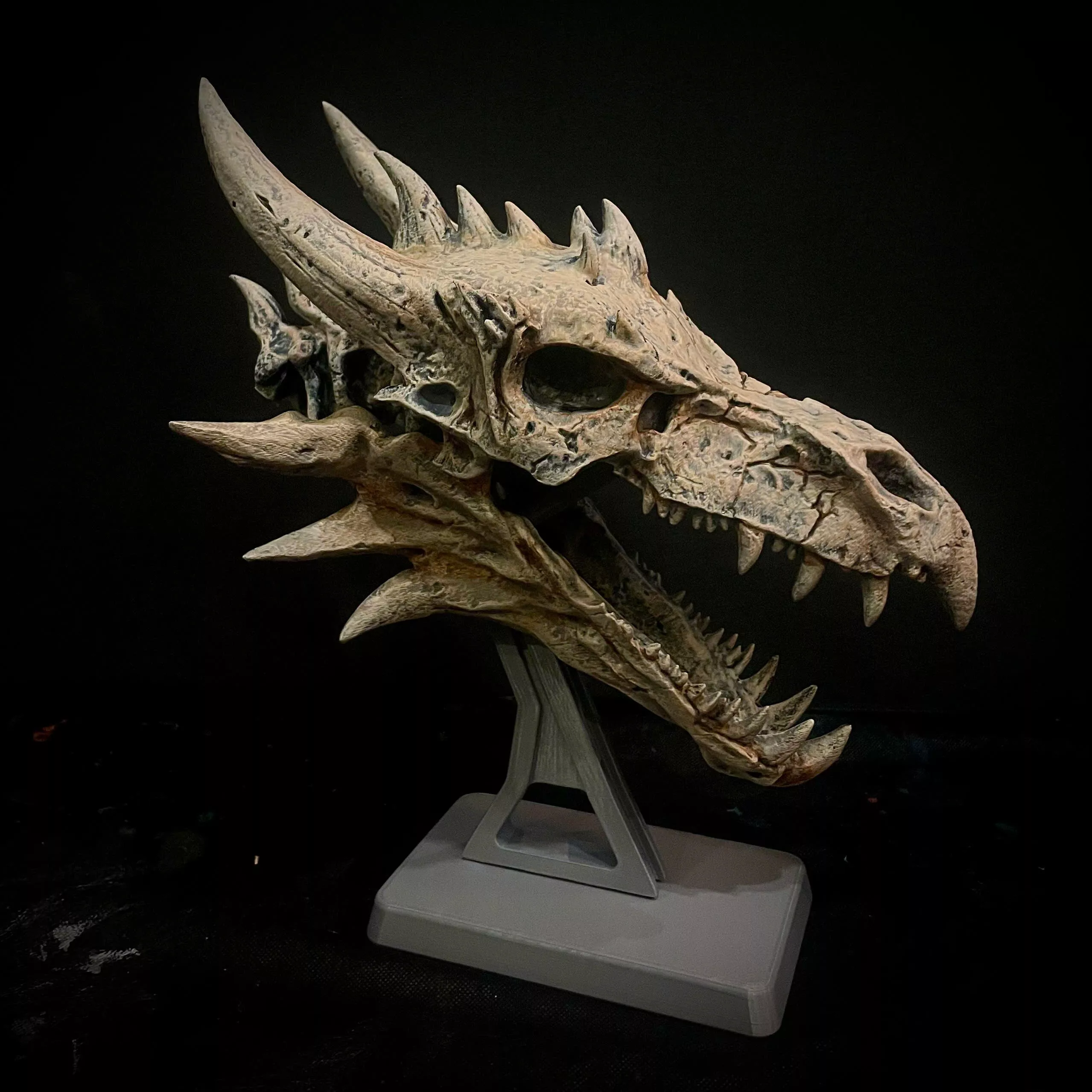 Ancient Bone Dragon - Head Skull Moveable Jaw 3D print model