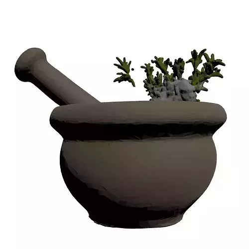 Stone Mortar Pestle Rosemary Set 3D model 5