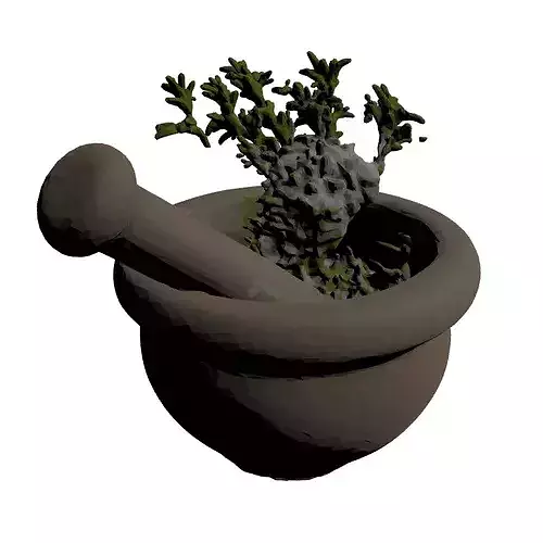 Stone Mortar Pestle Rosemary Set 3D model 4