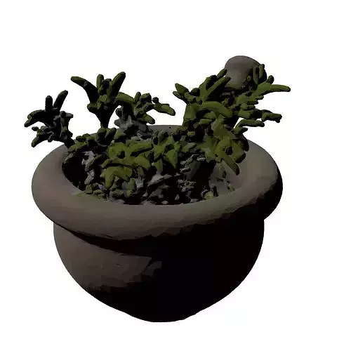 Stone Mortar Pestle Rosemary Set 3D model 6