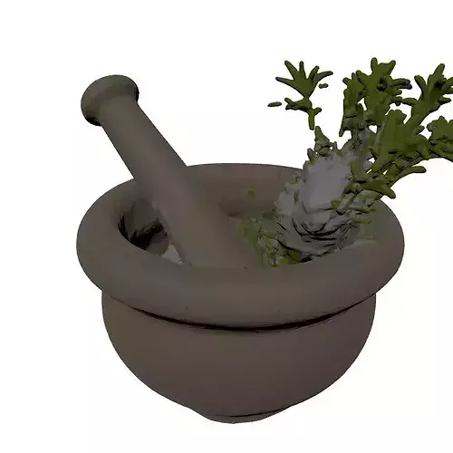 Stone Mortar Pestle Rosemary Set 3D model 3