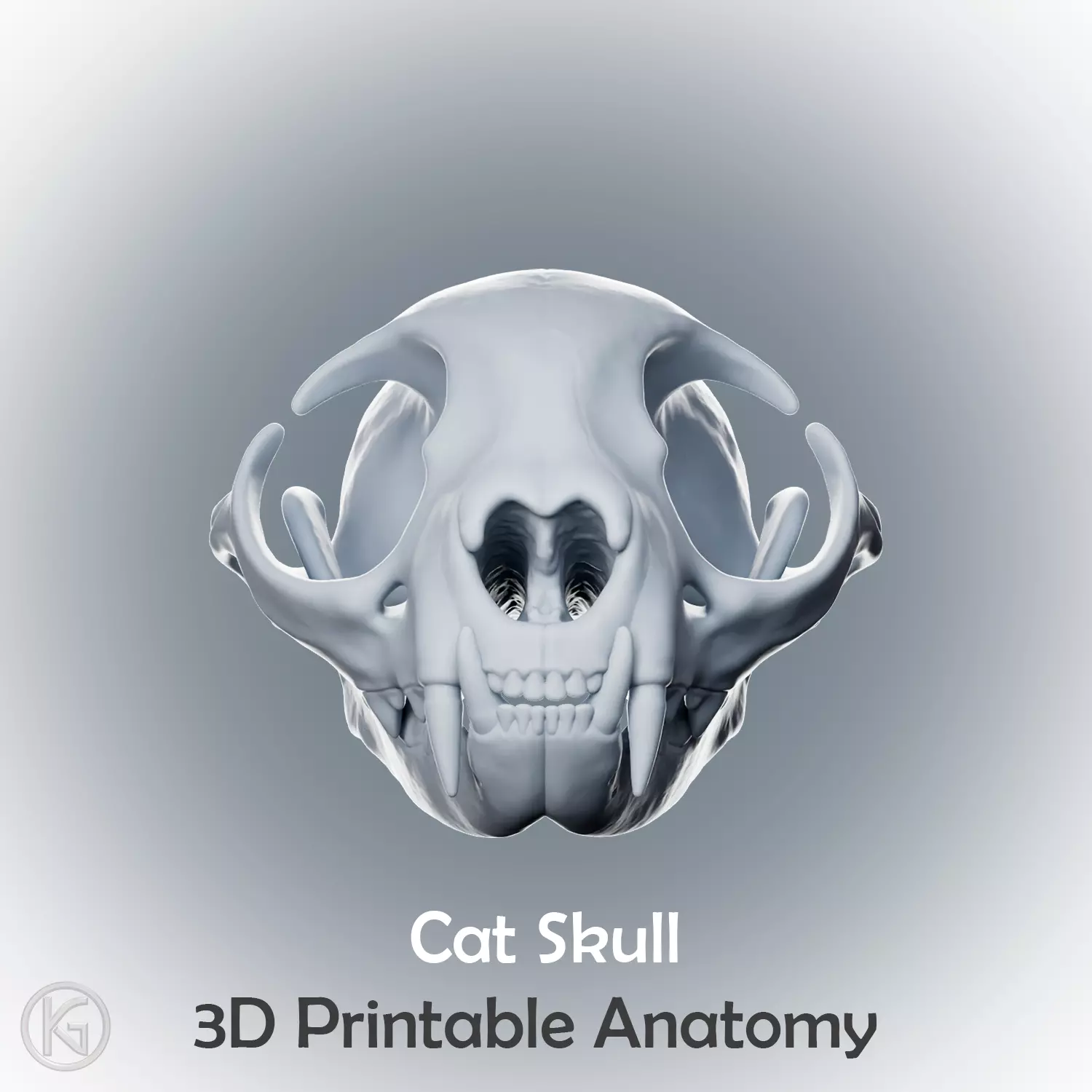 Anatomical Cat Skull STL 3D print model