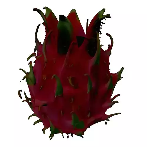 Realistic Dragon Fruit 3D Model 3D model 3