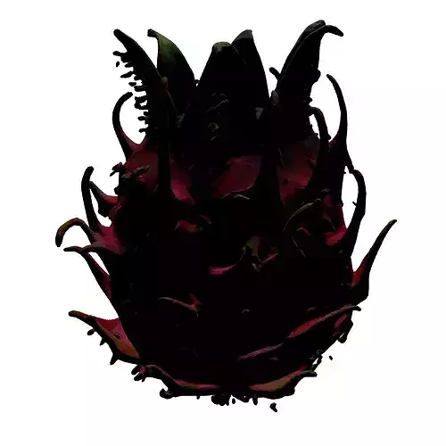 Realistic Dragon Fruit 3D Model 3D model 7