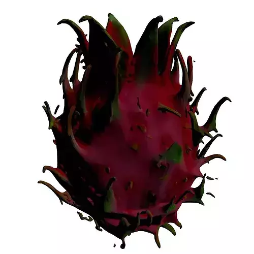 Realistic Dragon Fruit 3D Model 3D model 4