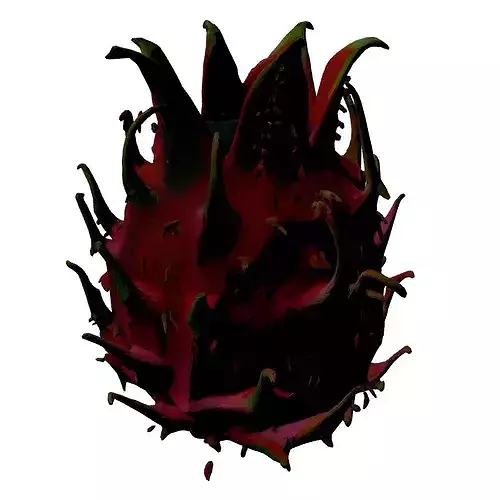 Realistic Dragon Fruit 3D Model 3D model 6