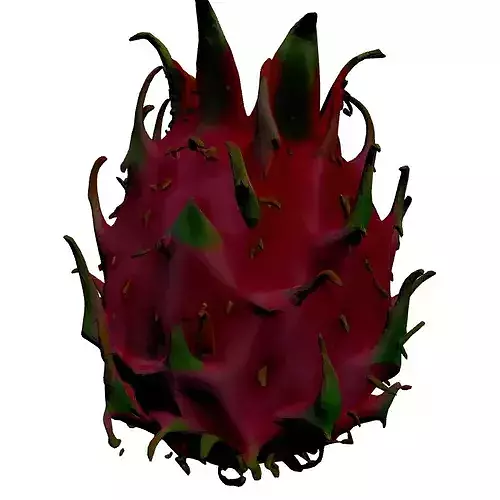 Realistic Dragon Fruit 3D Model 3D model 5