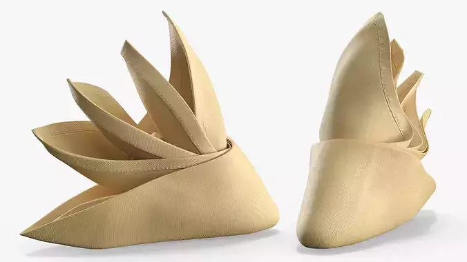 Napkin Folding Lotus Shape Beige 3D model