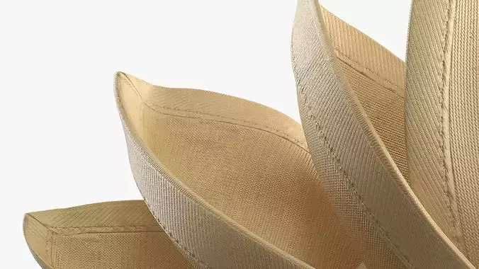 Napkin Folding Lotus Shape Beige 3D model 5