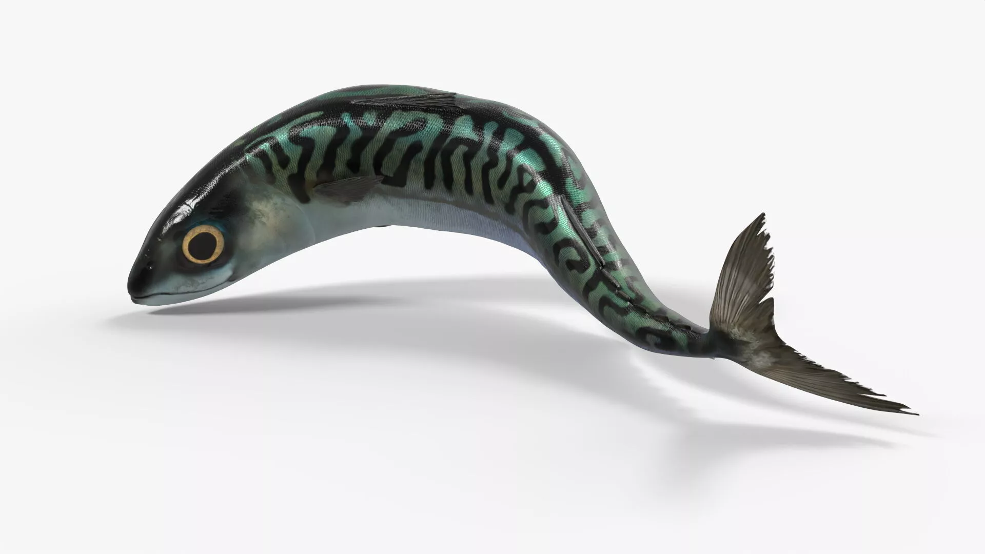 Realistic Mackerel Rigged For Blender Low-poly 3D model