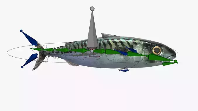 Fish Mackerel Idle on Land Animated Rigged For Blender 3D model 2