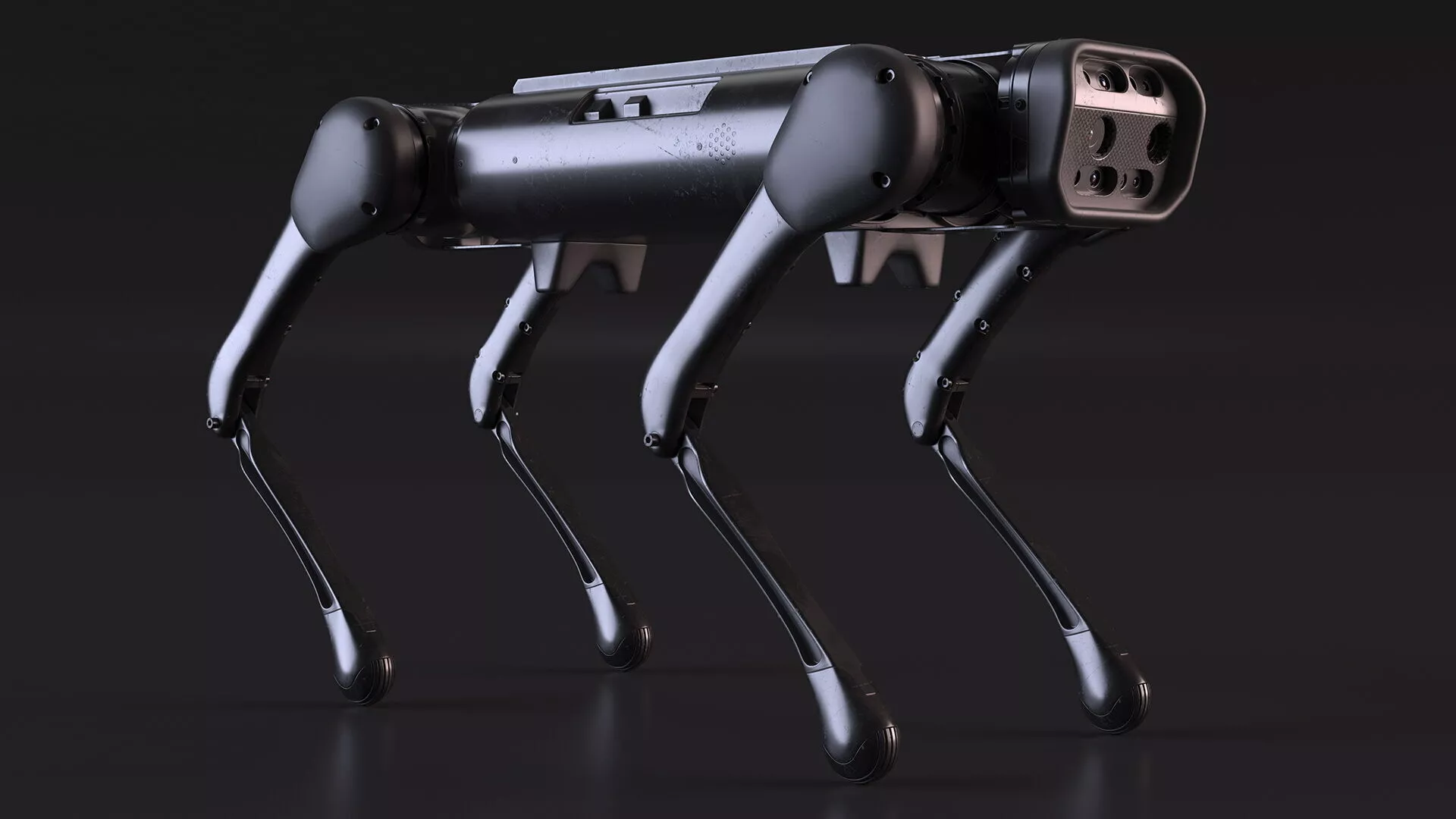 Dirty Robot Dog Aliengo Rigged for Cinema 4D 3D model