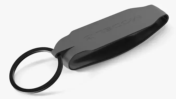 Tesla Key Band Holder Black 3D model
