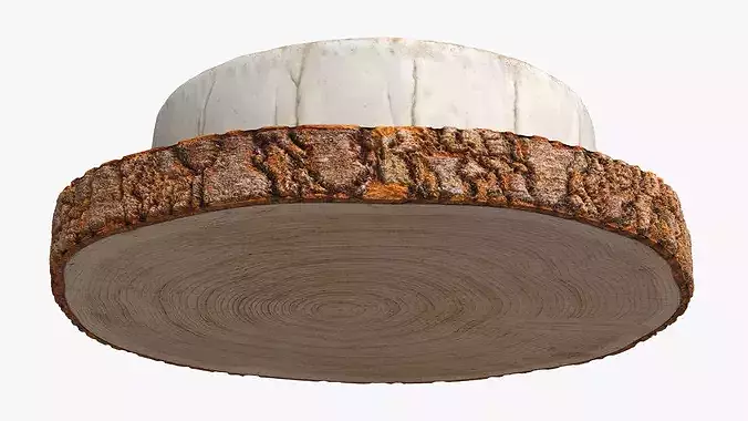 Round Brie Cheese with Rosemary on Rustic Board 3D model 4