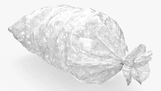 Bag with Frozen Ice Cubes 8LB Clear 3D model 4
