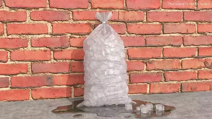 Bag with Frozen Ice Cubes 8LB Clear 3D model 3