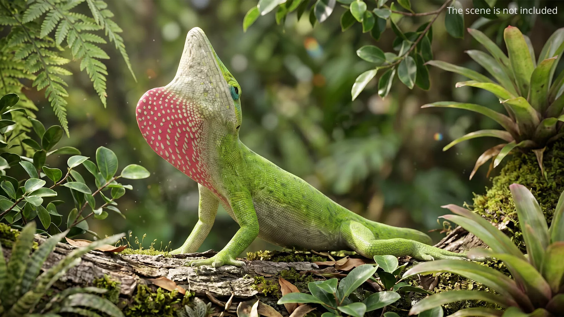 Green Anole Reptile Set Animated Rigged For Maya Low-poly 3D model