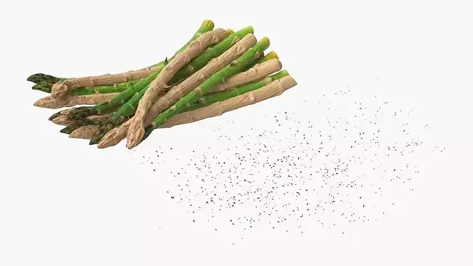 Cooked Asparagus Plate with Steel Fork and Knife 3D model 6