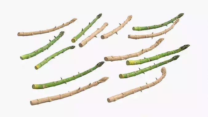 Cooked Asparagus Plate with Steel Fork and Knife 3D model 7