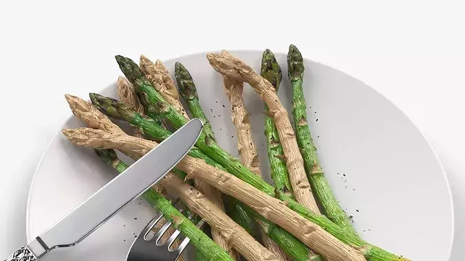 Cooked Asparagus Plate with Steel Fork and Knife 3D model 5