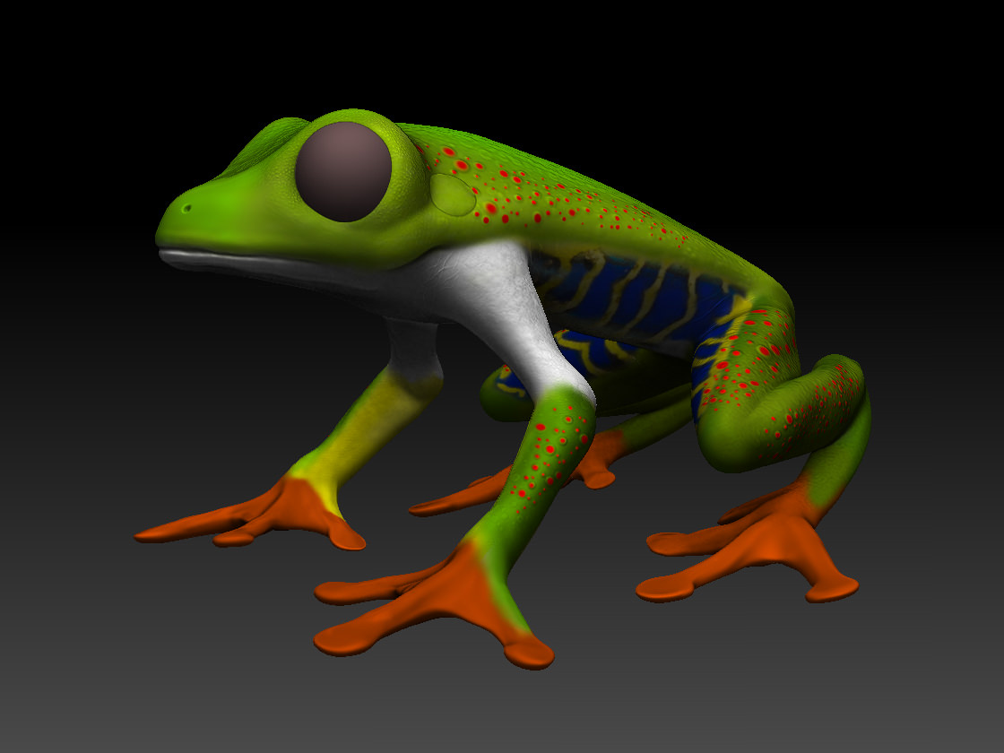 Frog red eyes Low-poly 3D model_1