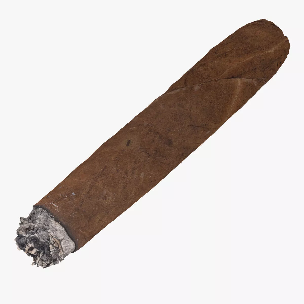 Cigar Short Burned 02 RAW Scan 3D model