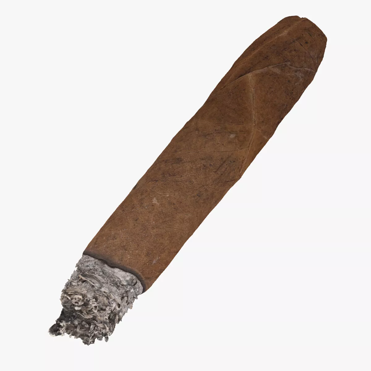 Cigar Short Burned 03 RAW Scan 3D model