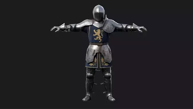 Blue Tunic Crusader Rigged