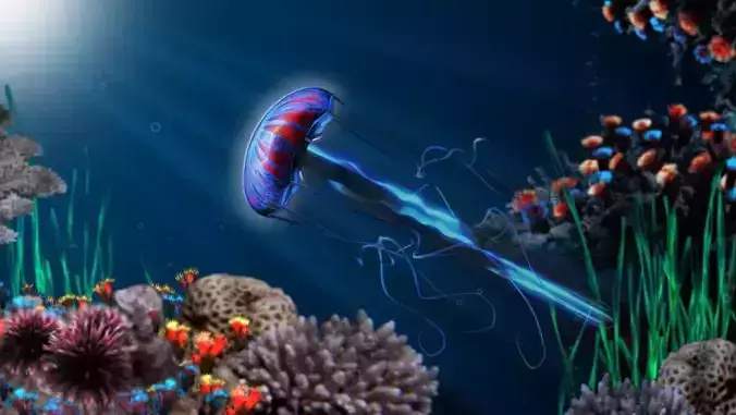 Jellyfish 3d Low-poly 3D model