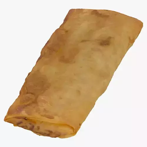 Spring Roll 01 RAW Scan 3D model