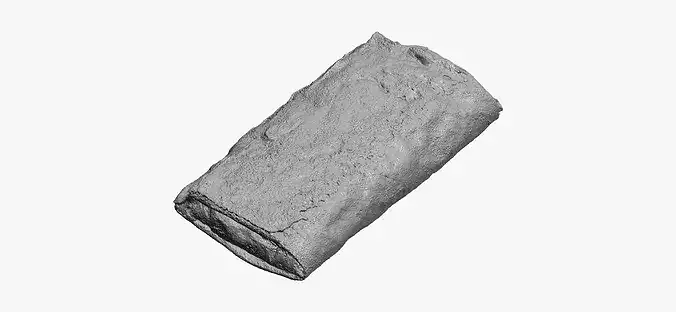 Spring Roll 01 RAW Scan 3D model 6
