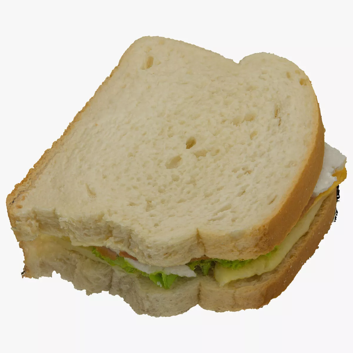Turkey Sandwich 01 RAW Scan 3D model