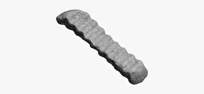 Wavy Fry 01 RAW Scan 3D model 6