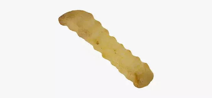 Wavy Fry 01 RAW Scan 3D model 5