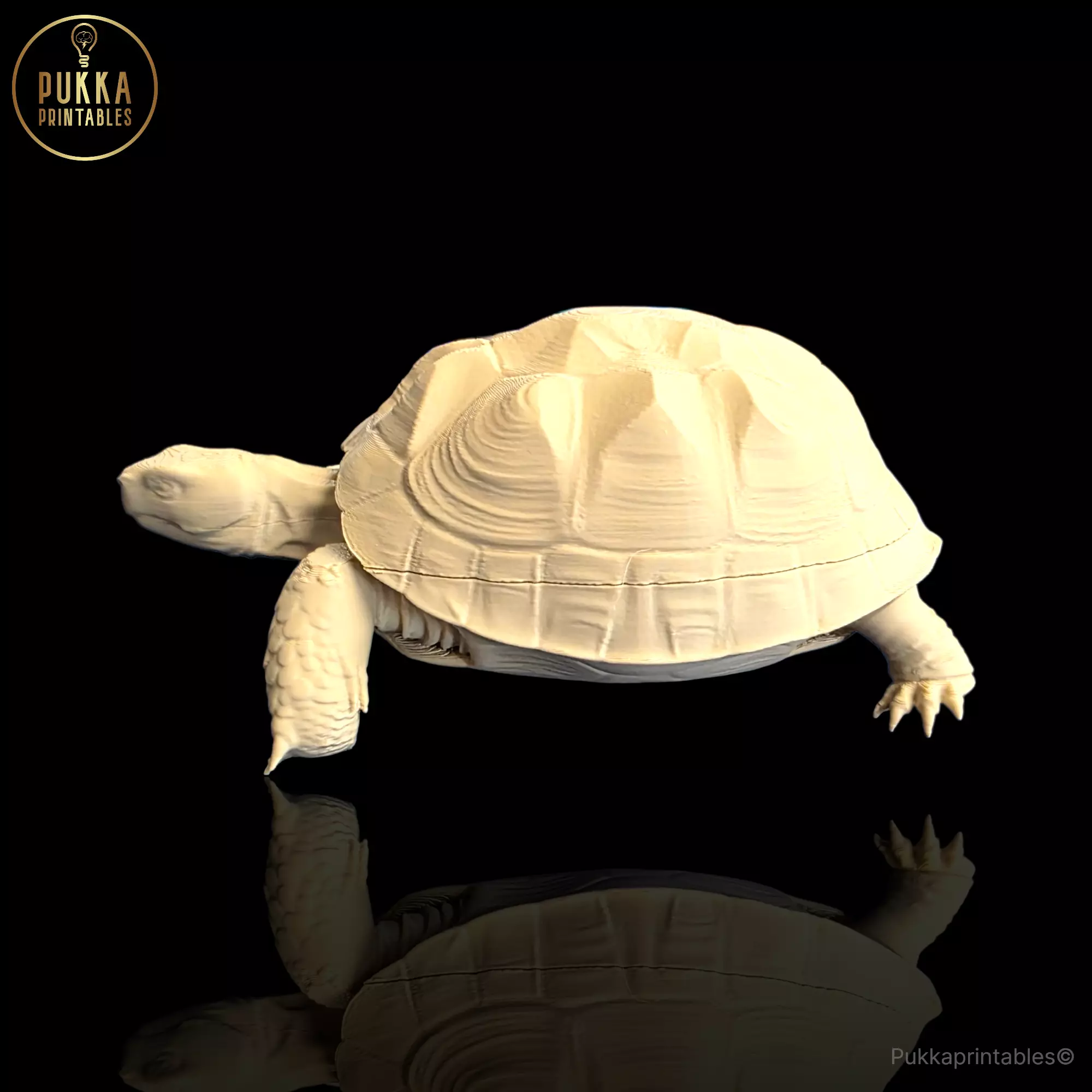 Realistic Tortoise Companion for Pet Tortoises STL 3D print model