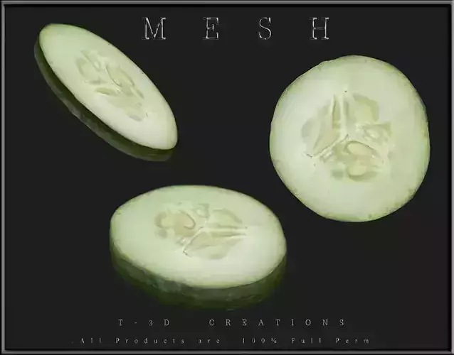 Slice of Cucumber Low-poly 3D model