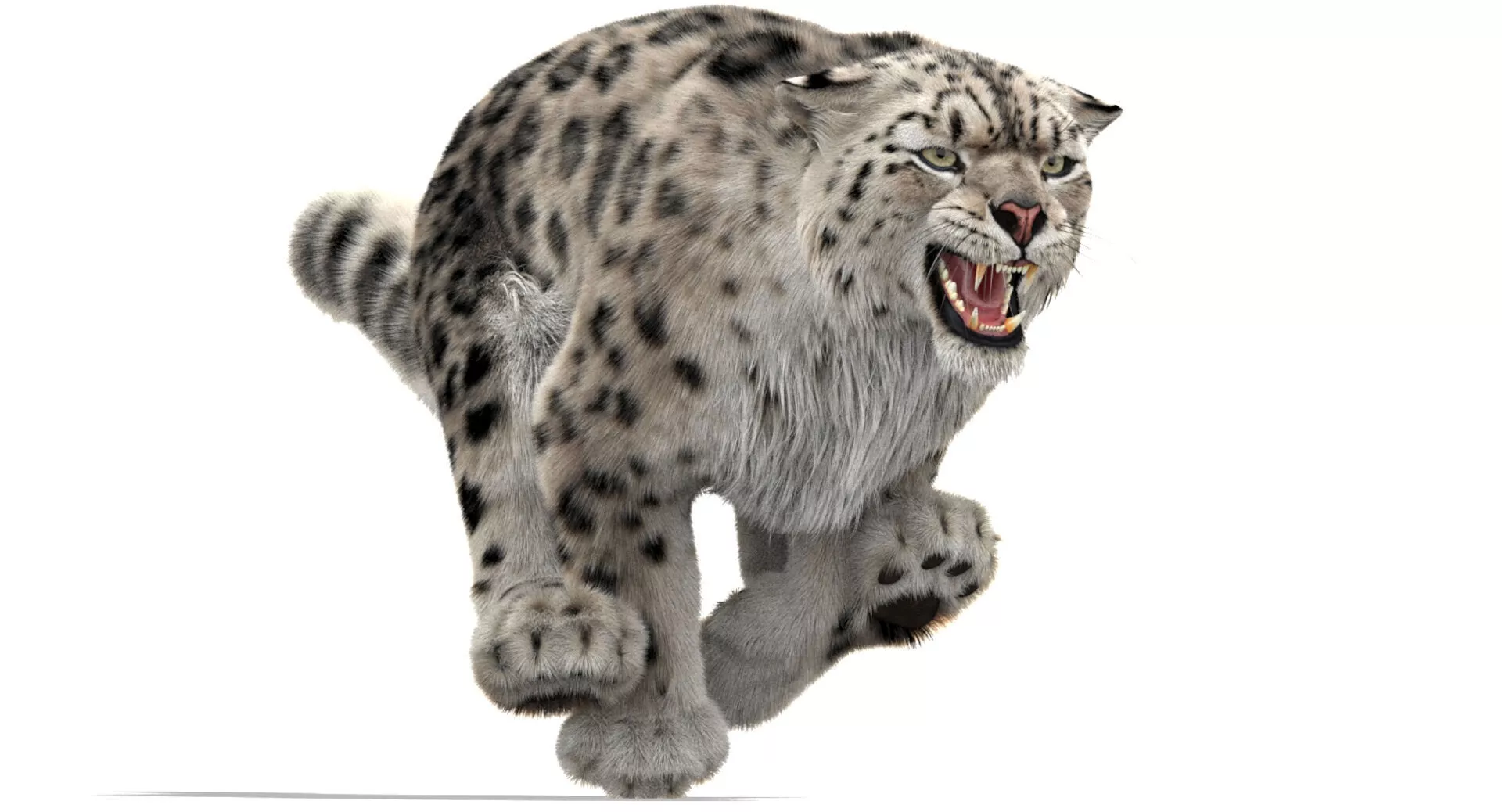 Animated Snow Leopard Ornatrix Fur 3D model