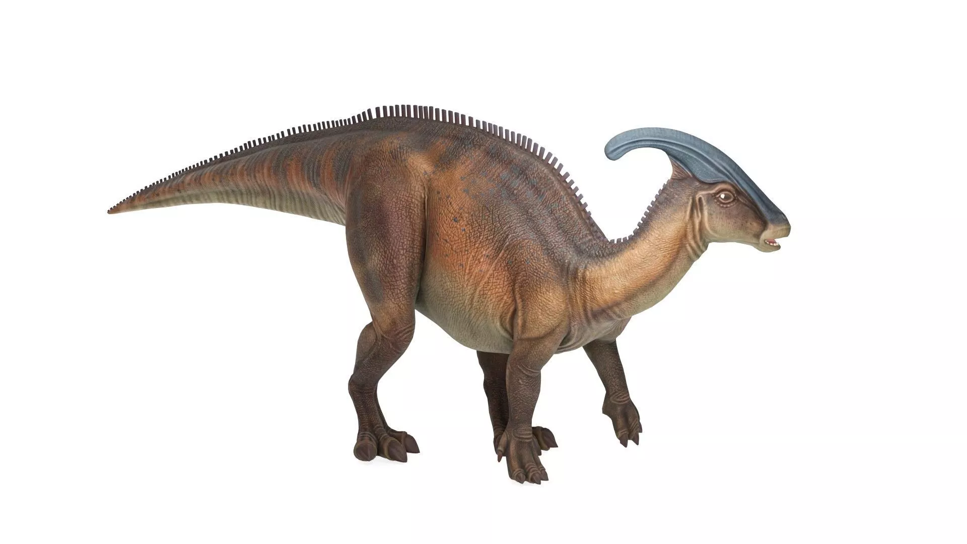 Realistic Prehistoric Parasaurolophus Dinosaur 3D model