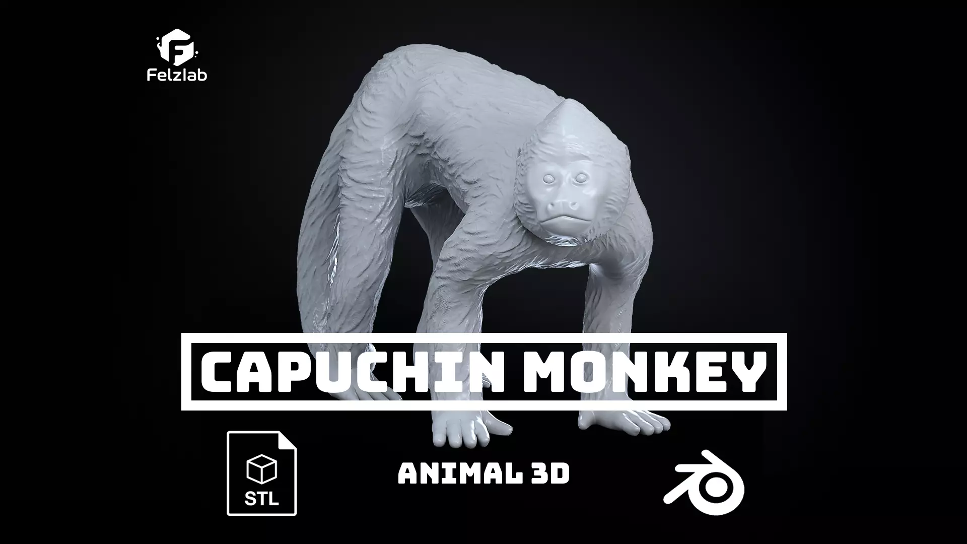 Capuchin Monkey Macaco-Prego - 3D Printable Animal 3D print model