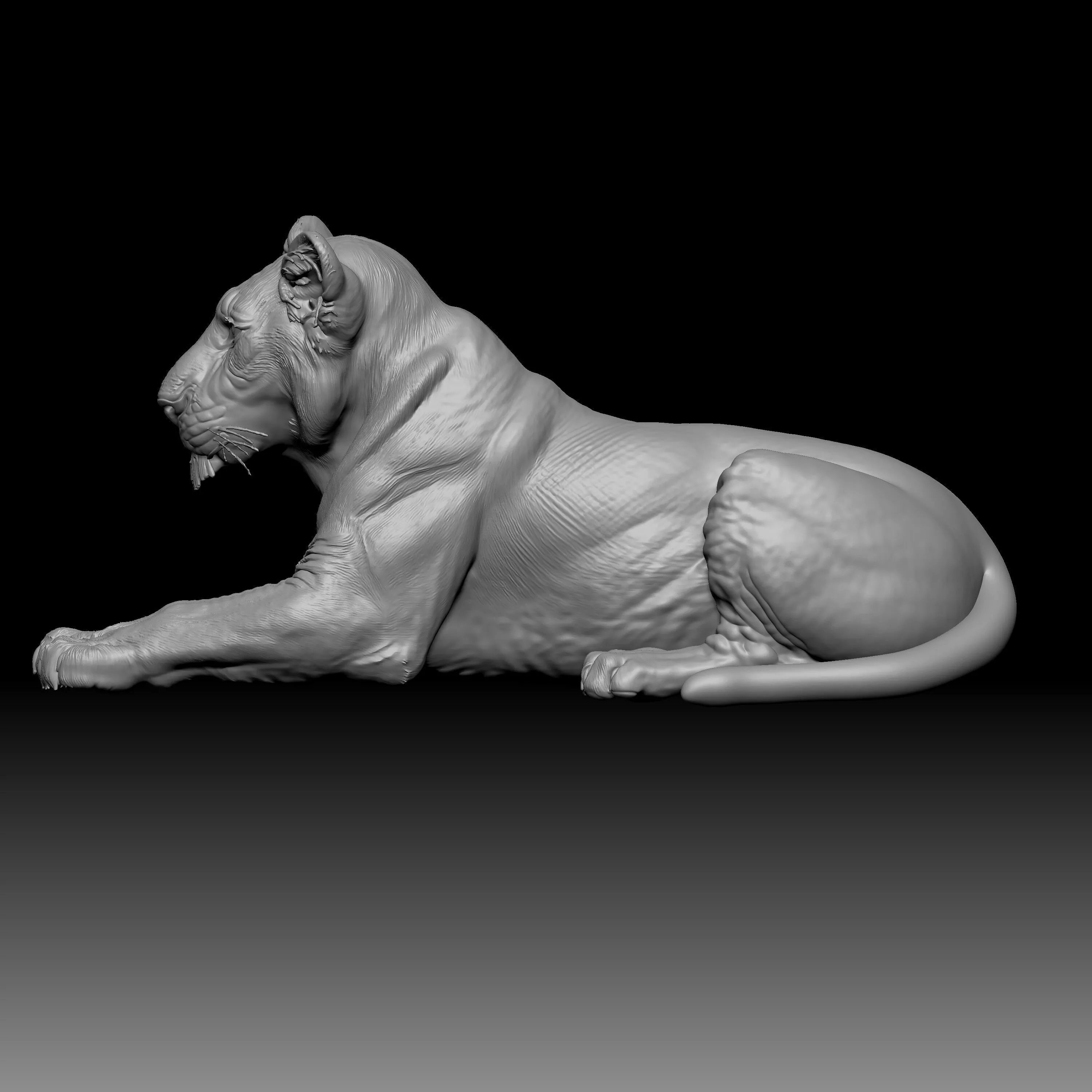 3D sculpt of a lion or lioness 3D print model